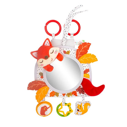 Miroir Bébé Voiture - BabyWatch™